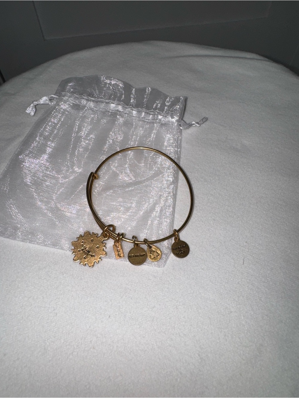 Alex and Ani 2017 Snowflake Charm Bangle/OS - Picture 3 of 3